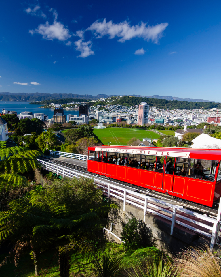 🇳🇿 New Zealand